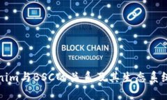 Tokenim与BSC的关系及其生态系统分析