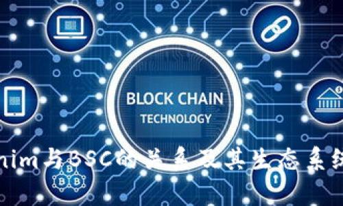 Tokenim与BSC的关系及其生态系统分析