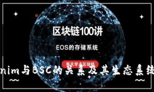 Tokenim与BSC的关系及其生态系统分析