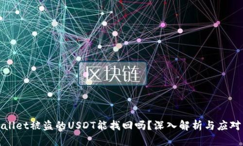 tpWallet被盗的USDT能找回吗？深入解析与应对策略