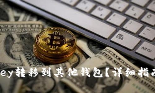 如何将TokenimKey转移到其他钱包？详细指南与常见问题解析