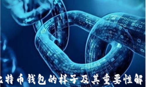 
比特币钱包的样子及其重要性解析