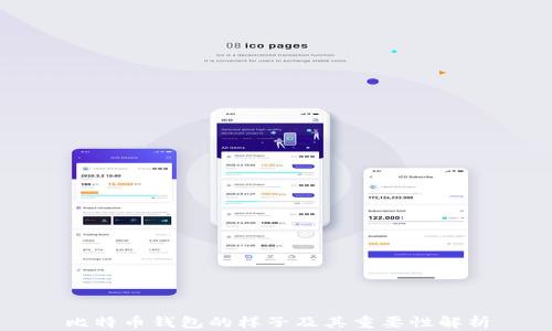
比特币钱包的样子及其重要性解析