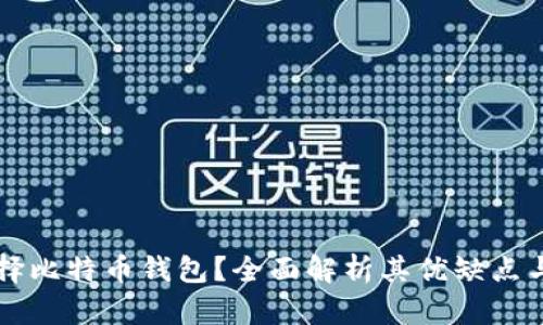 为什么选择比特币钱包？全面解析其优缺点与使用指南