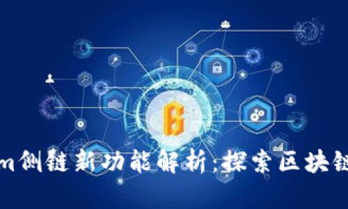 Tokenim侧链新功能解析：探索区块链的未来