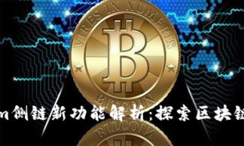 Tokenim侧链新功能解析：探索区块链的未来