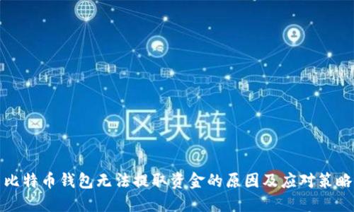 比特币钱包无法提取资金的原因及应对策略