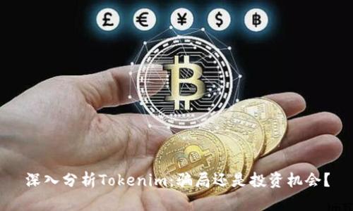 深入分析Tokenim：骗局还是投资机会？