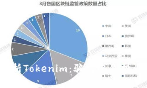 深入分析Tokenim：骗局还是投资机会？