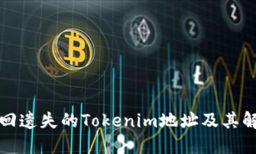 如何找回遗失的Tokenim地址及其解决方案