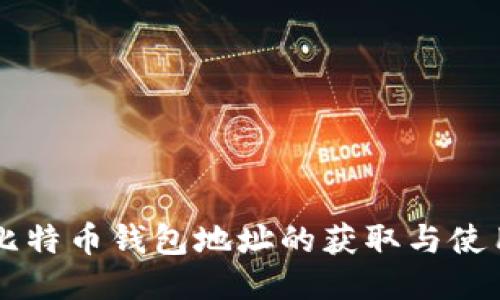 中国比特币钱包地址的获取与使用指南