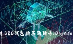 如何通过BRD钱包购买狗狗币（Dogecoin）详解