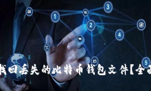 如何找回丢失的比特币钱包文件？全面指南