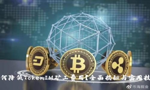 如何降低TokenIM矿工费用？全面揭秘与实用技巧
