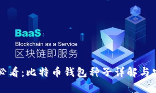 初学者必看：比特币钱包种子详解与安全指南