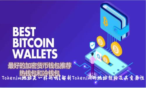 Tokenim地址是一样的吗？解析Tokenim的地址结构及其重要性
