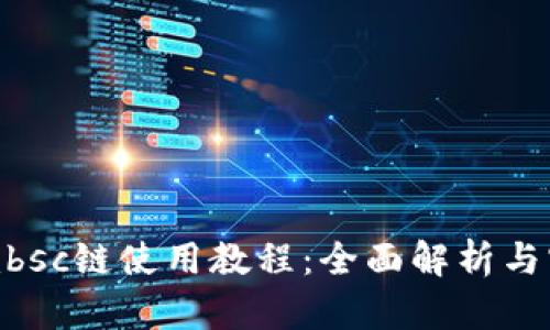 tokenimbsc链使用教程：全面解析与实操指南