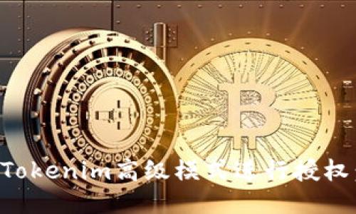 如何使用Tokenim高级模式进行授权：全面指南