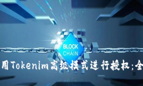 如何使用Tokenim高级模式进行授权：全面指南