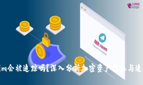 Tokenim会被追踪吗？深入分析加密资产隐私与追踪机制