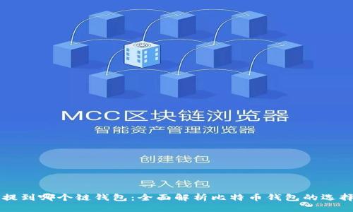 比特币提到哪个链钱包：全面解析比特币钱包的选择与使用