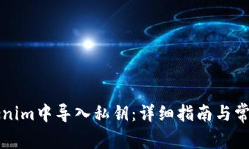 如何在Tokenim中导入私钥：详细指南与常见问题解析