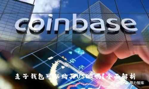 麦子钱包可以购买USDT吗？全面解析