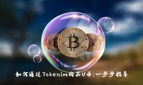 如何通过Tokenim购买U币：一步步指导