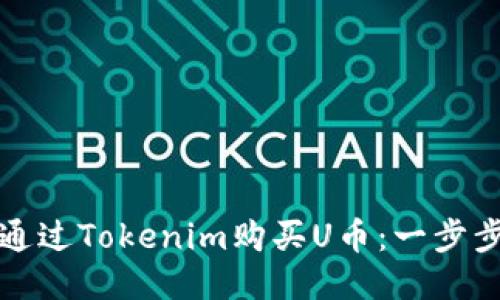 如何通过Tokenim购买U币：一步步指导