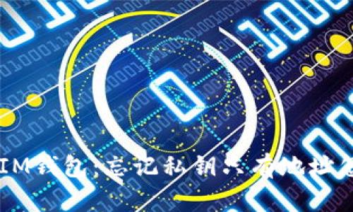 TokenIM钱包：忘记私钥只有地址怎么办？