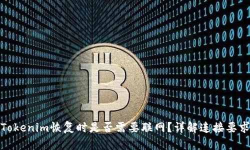 Tokenim恢复时是否需要联网？详解连接要求