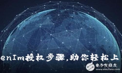 详细解读TokenIm授权步骤，助你轻松上手区块链应用