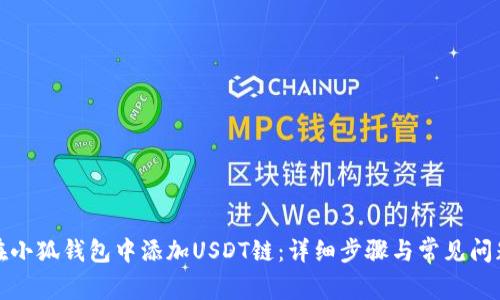 如何在小狐钱包中添加USDT链：详细步骤与常见问题解答