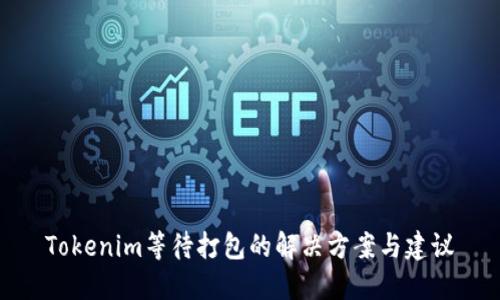 Tokenim等待打包的解决方案与建议