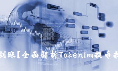 提币未到账？全面解析Tokenim提币找回方法