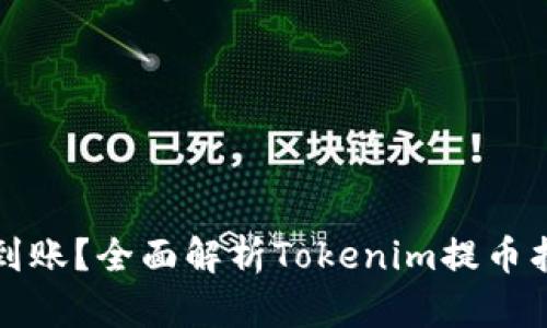 提币未到账？全面解析Tokenim提币找回方法