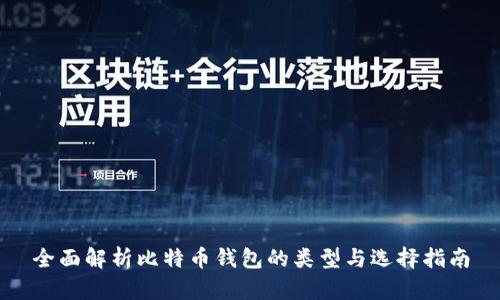 全面解析比特币钱包的类型与选择指南