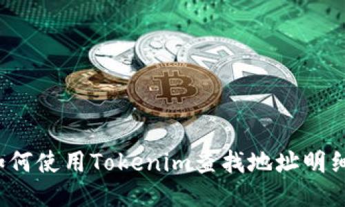 如何使用Tokenim查找地址明细？