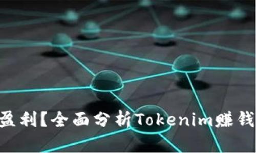 Tokenim能否盈利？全面分析Tokenim赚钱的潜力与风险