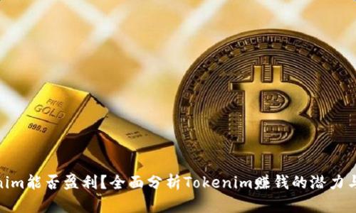 Tokenim能否盈利？全面分析Tokenim赚钱的潜力与风险
