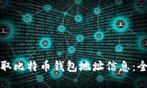 如何获取比特币钱包地址信息:全面指南