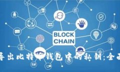 如何导出比特币钱包中的私钥：全面指南