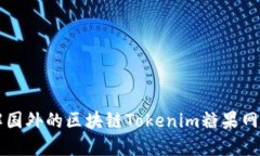 深入了解国外的区块链Tokenim糖果网及其潜力