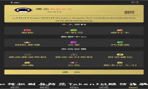 如何识别与防范TokenIM短信诈骗？