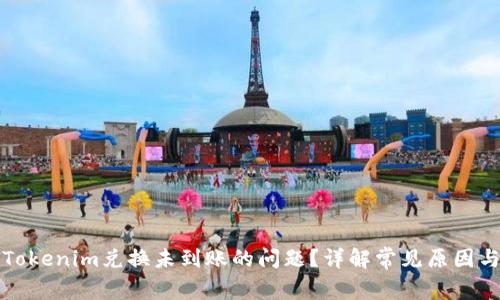 如何解决Tokenim兑换未到账的问题？详解常见原因与解决办法