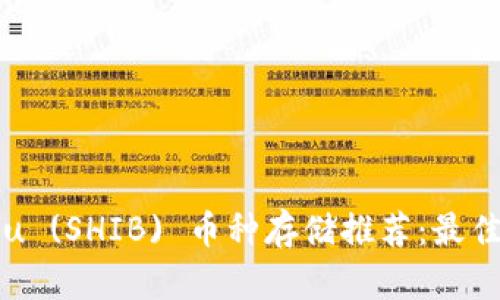 Shiba Inu (SHIB) 币种存储推荐：最佳钱包选择