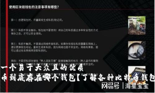 思考一个易于大众且的优质
比特币到底存在哪个钱包？了解各种比特币钱包类型