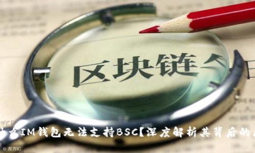 为什么IM钱包无法支持BSC？深度解析其背后的原因