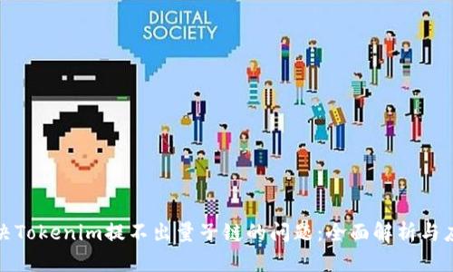 如何解决Tokenim提不出量子链的问题：全面解析与应对策略