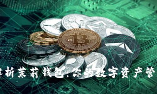 全面解析茉莉钱包：你的数字资产管理助手